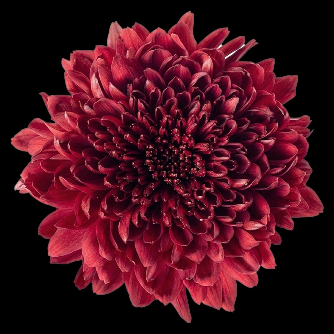 Кремон Red