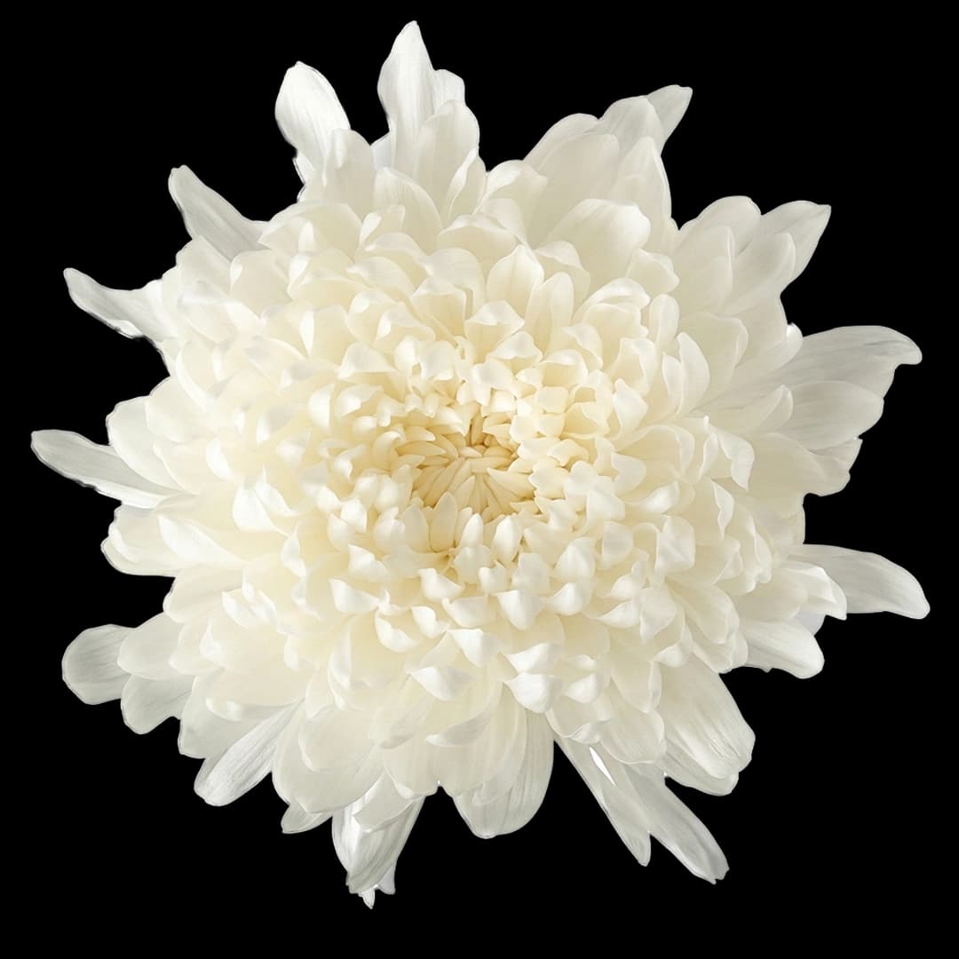 Кремон White