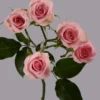 Elba — фото 4