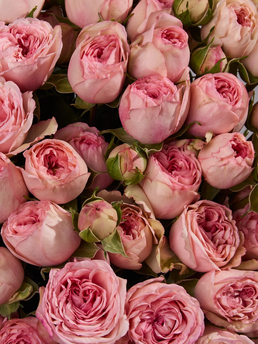 Garden Bridal Jewel — фото 3