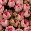 Garden Bridal Jewel — фото 6