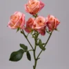 Peachy Pink Jewel — фото 5