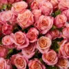 Peachy Pink Jewel — фото 6