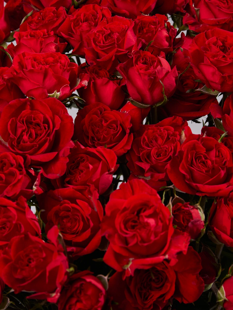 That’s Red Jewel — фото 3