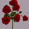 That’s Red Jewel — фото 4