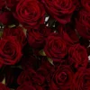 Verona — фото 6