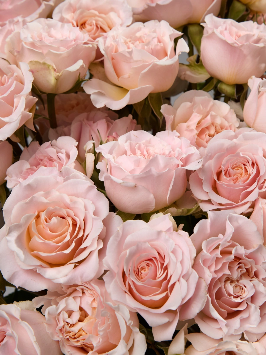 Wedding Rosever — фото 3